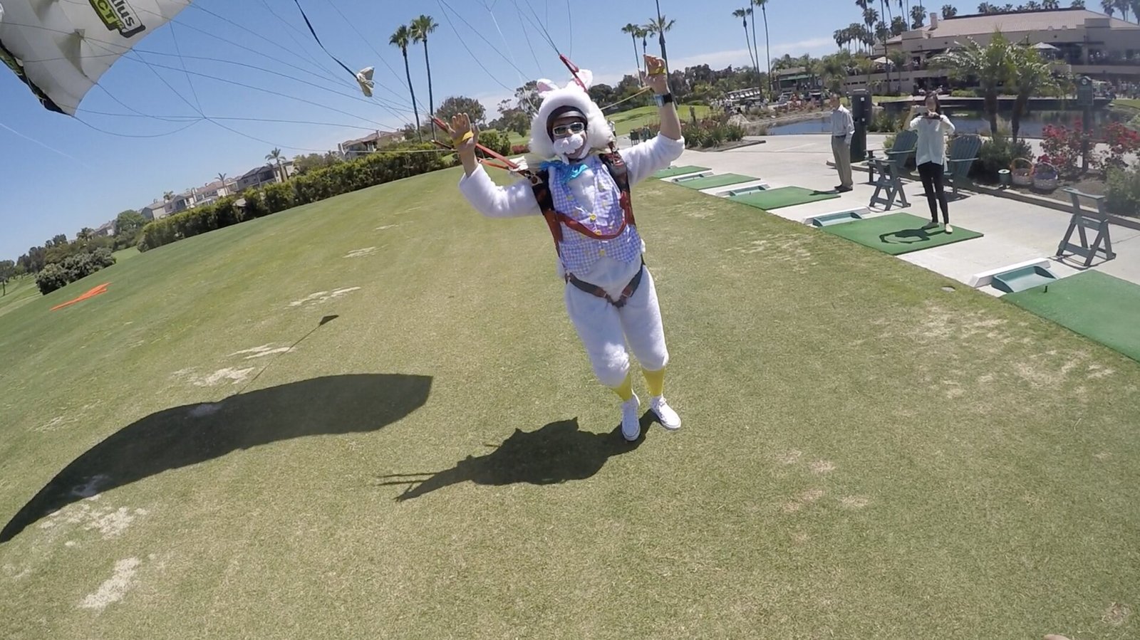 Easter Bunny demo