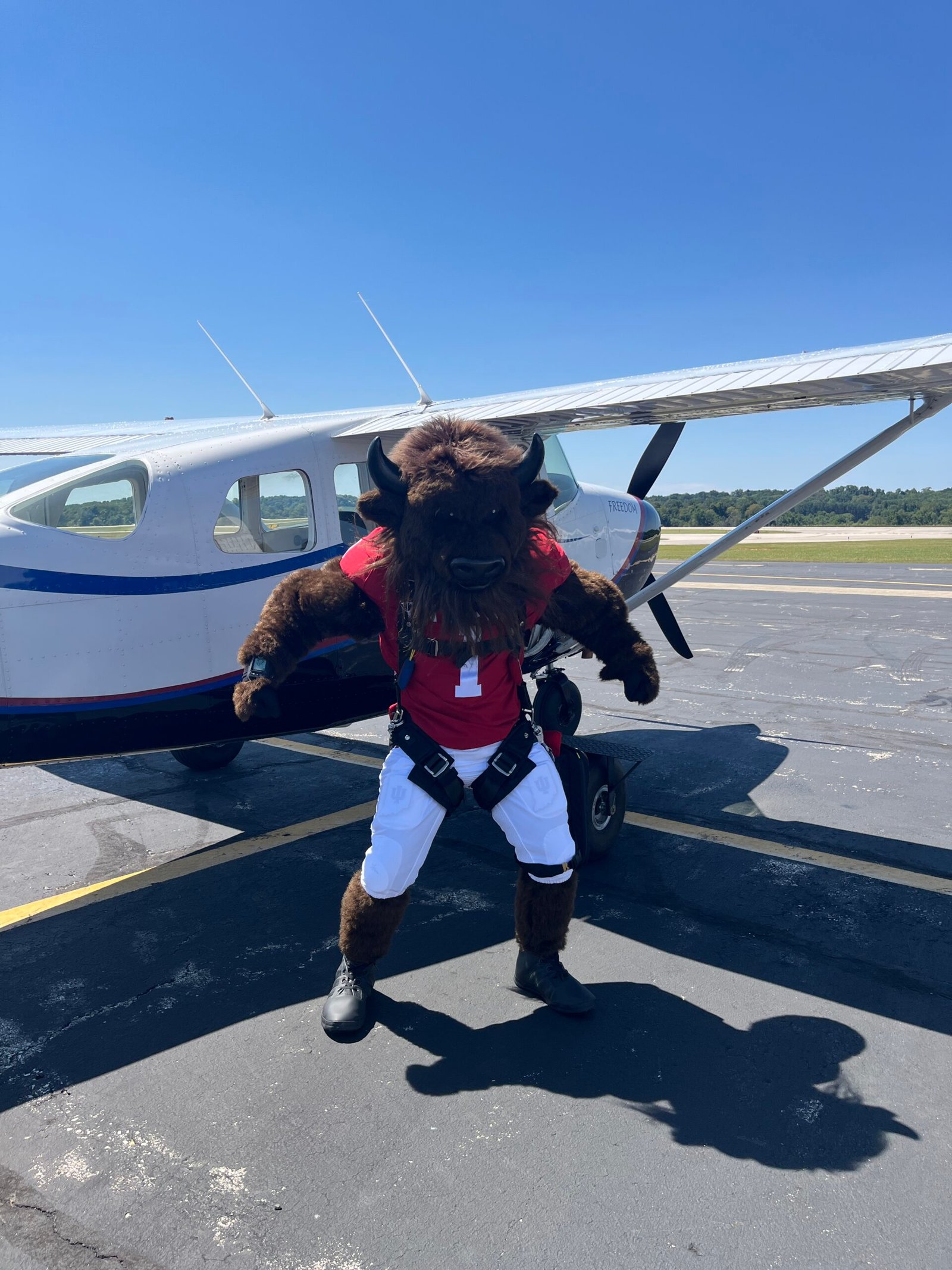 Indiana University mascot jump