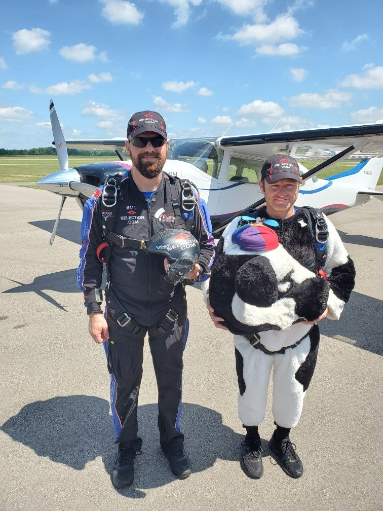 Cow boards the plane