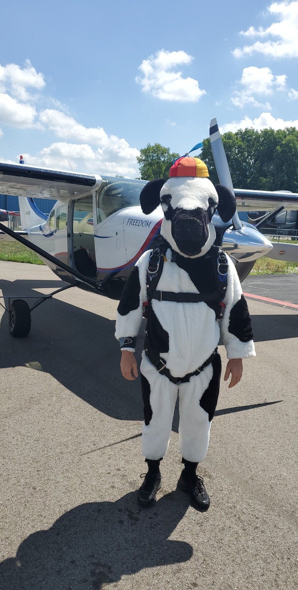 The cow demo
